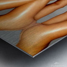 TITLE: FEMININE FORM COMPOSITION  Metal print