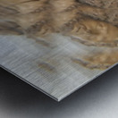TITLE : ACSENSION Metal print