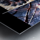 TITLE : STORM & BLOOM Metal print