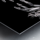 TITLE : BALLET BRAWL Metal print