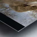 TITLE: IVORY  Metal print