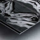 TITLE : SUNBATHING  Metal print