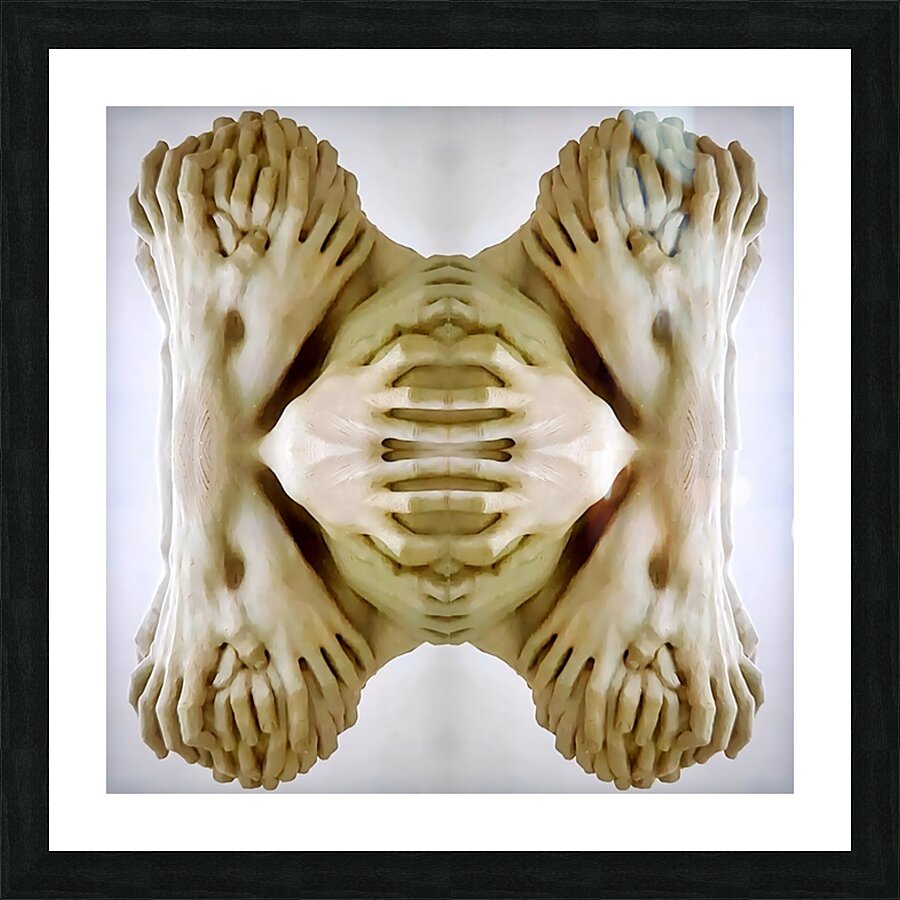 TITLE:CREATION  Picture Frame print