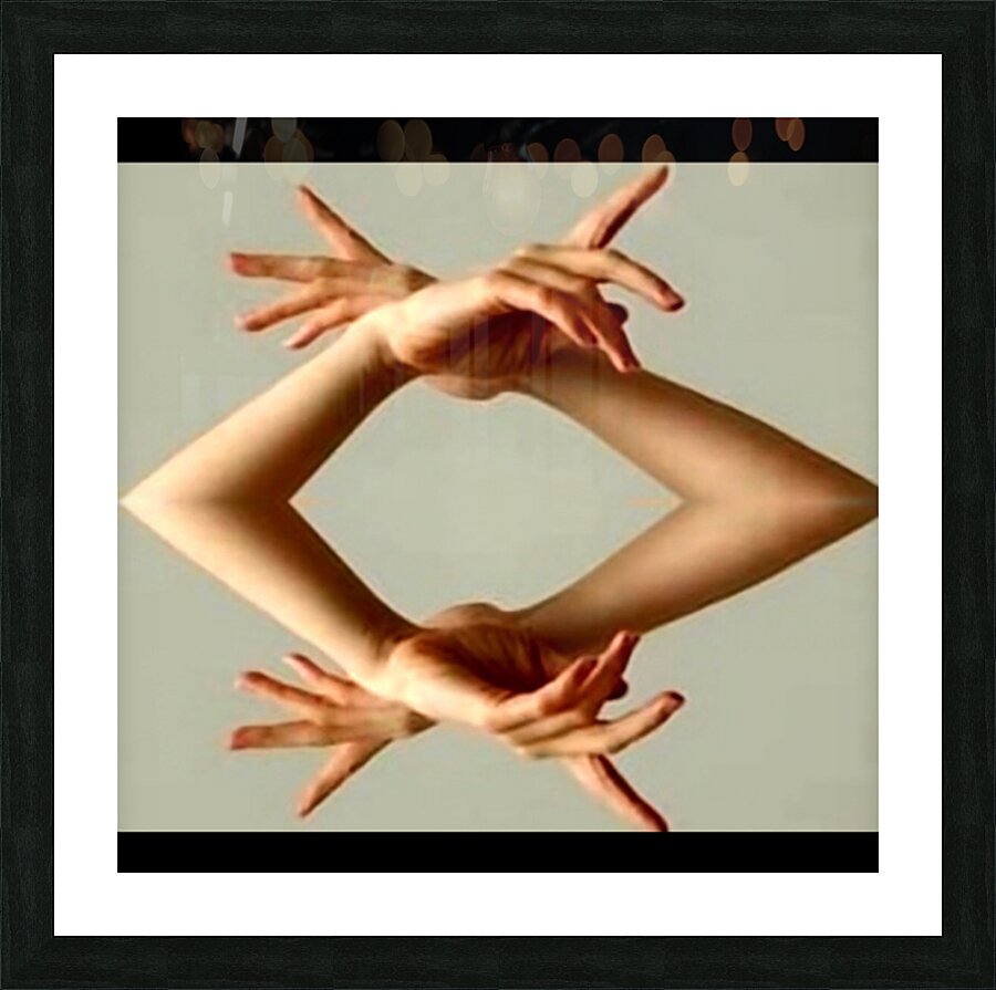 TITLE  :  AT THE SYMPHONY  Picture Frame print