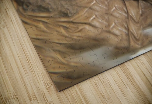 TITLE : ACSENSION Salvatore Zagami Fine Art puzzle