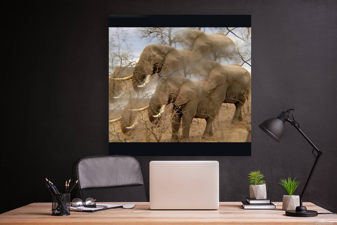 TITLE: IVORY  Reproduction