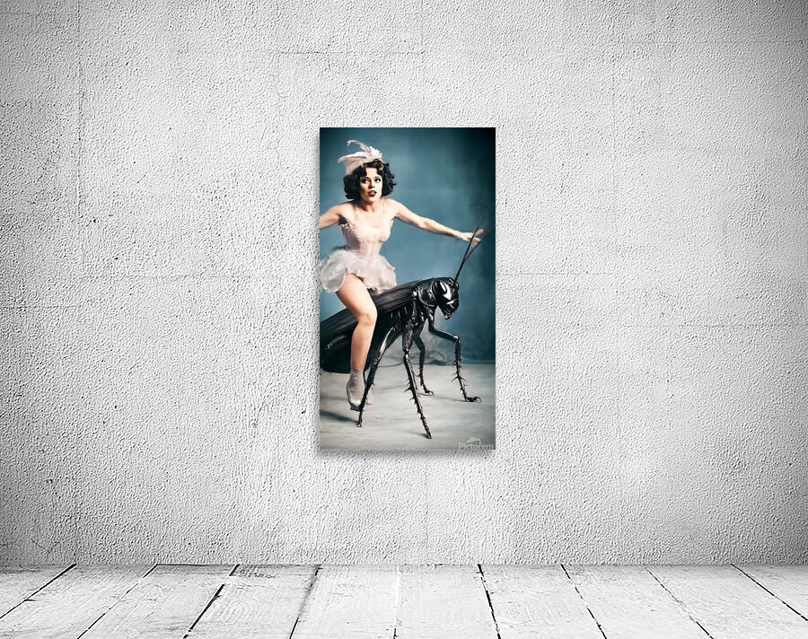 TITLE: MIDNIGHT DREAM  Wall Preview