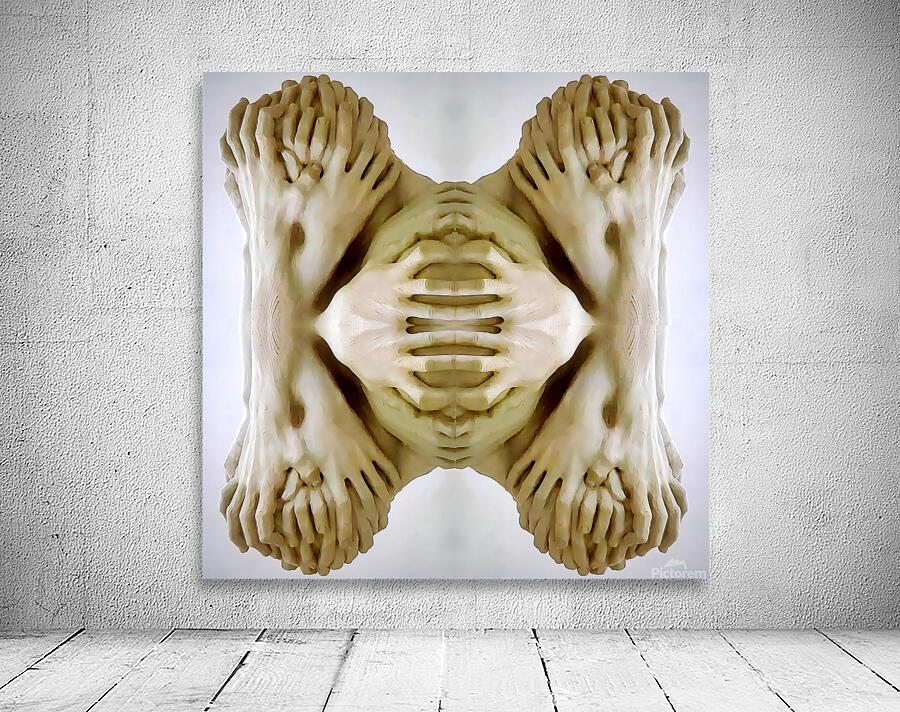 TITLE:CREATION  Wall Preview