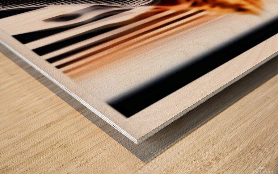 TITLE: LETS KISS   Wood print
