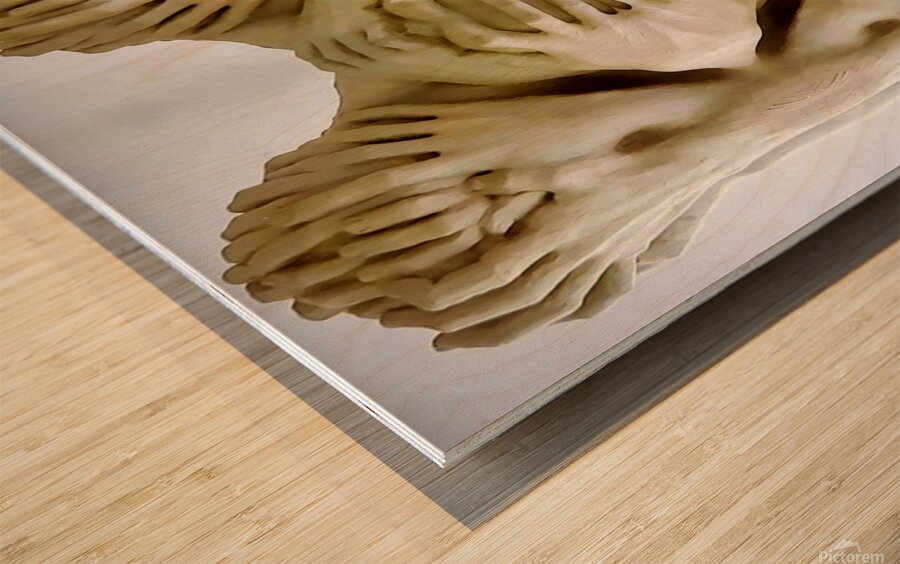 TITLE:CREATION  Wood print