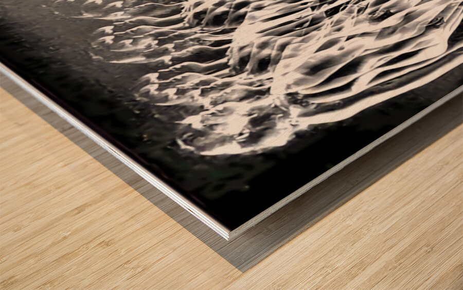 TITLE: DISSENSION Wood print