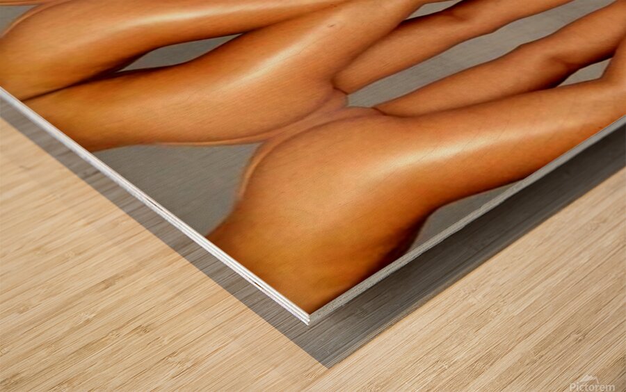 TITLE: FEMININE FORM COMPOSITION  Wood print