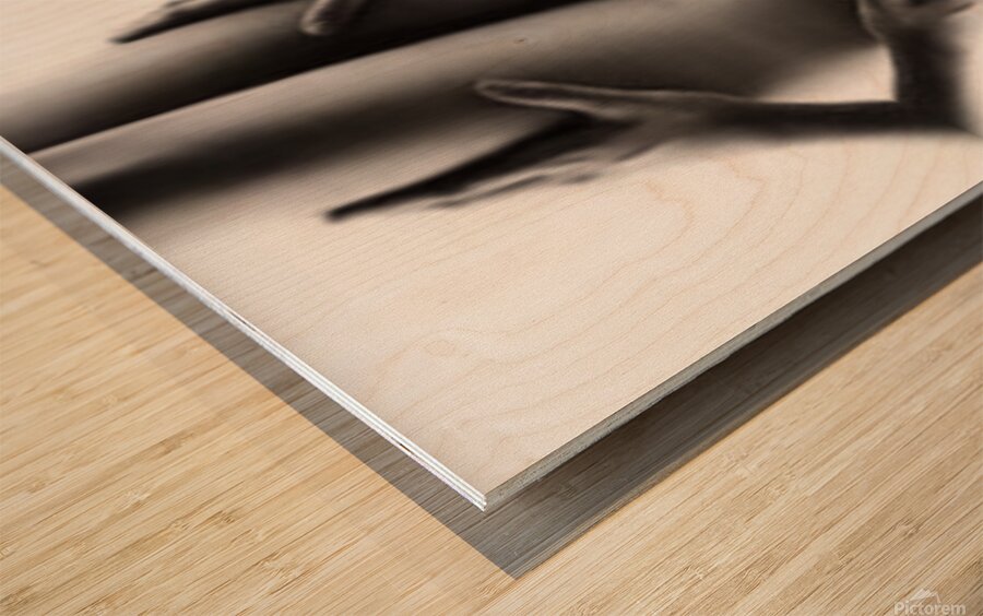 TITLE: FIGURE RECONFIGURATION Wood print