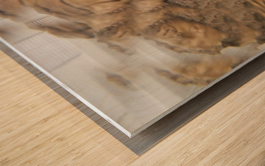 TITLE : ACSENSION Wood print