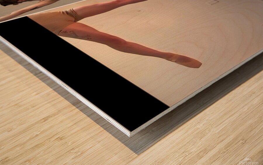 TITLE : BOTTLE & BALLET Wood print