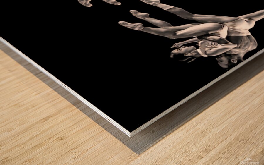 TITLE : BALLET BRAWL Wood print