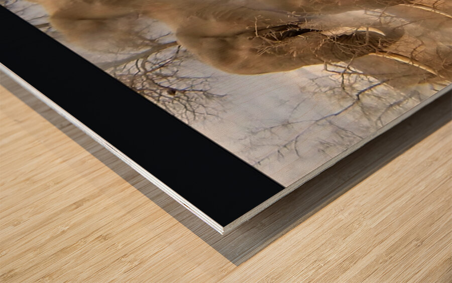 TITLE: IVORY  Wood print