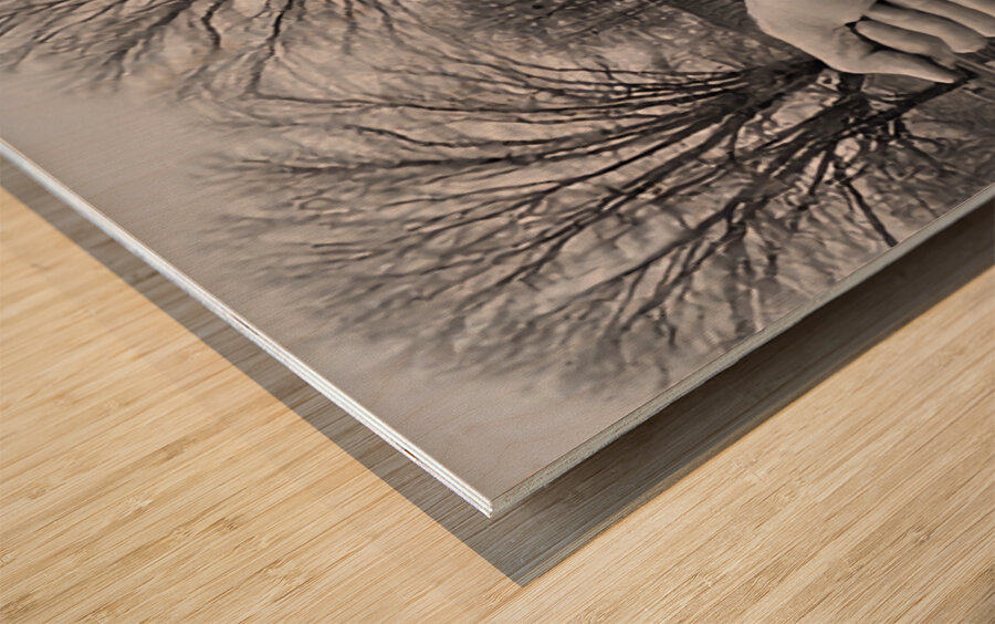 TITLE  : GROWING ROOTS Wood print