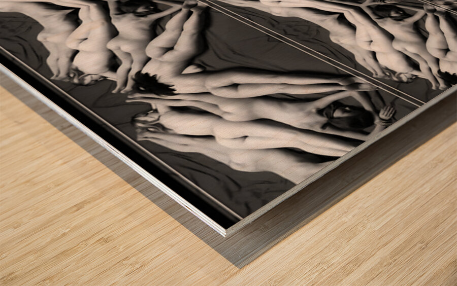 TITLE : SUNBATHING  Wood print