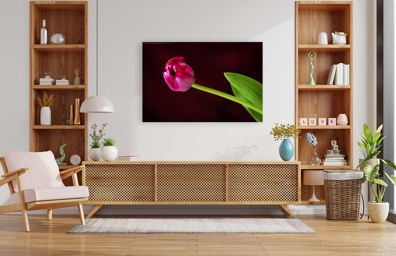 Tulip Reproduction