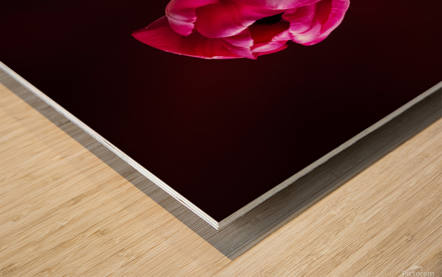 Tulip Wood print