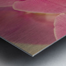 PinkOrchid Metal print