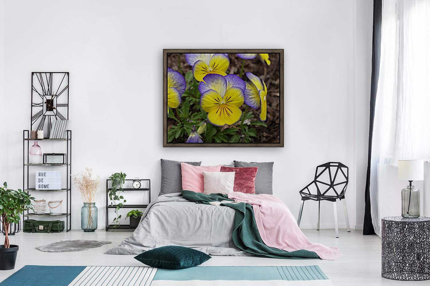 Pansy Reproduction