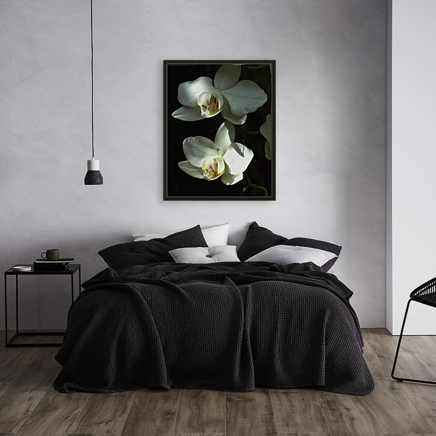 Orchids Reproduction