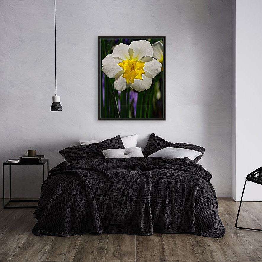 White Daffodil Reproduction