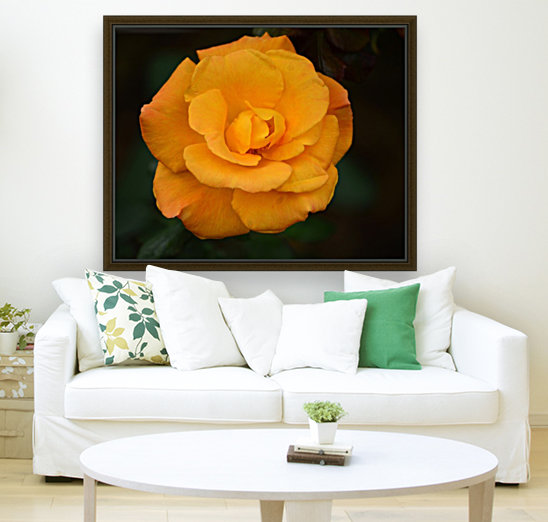 Orange Rose Reproduction