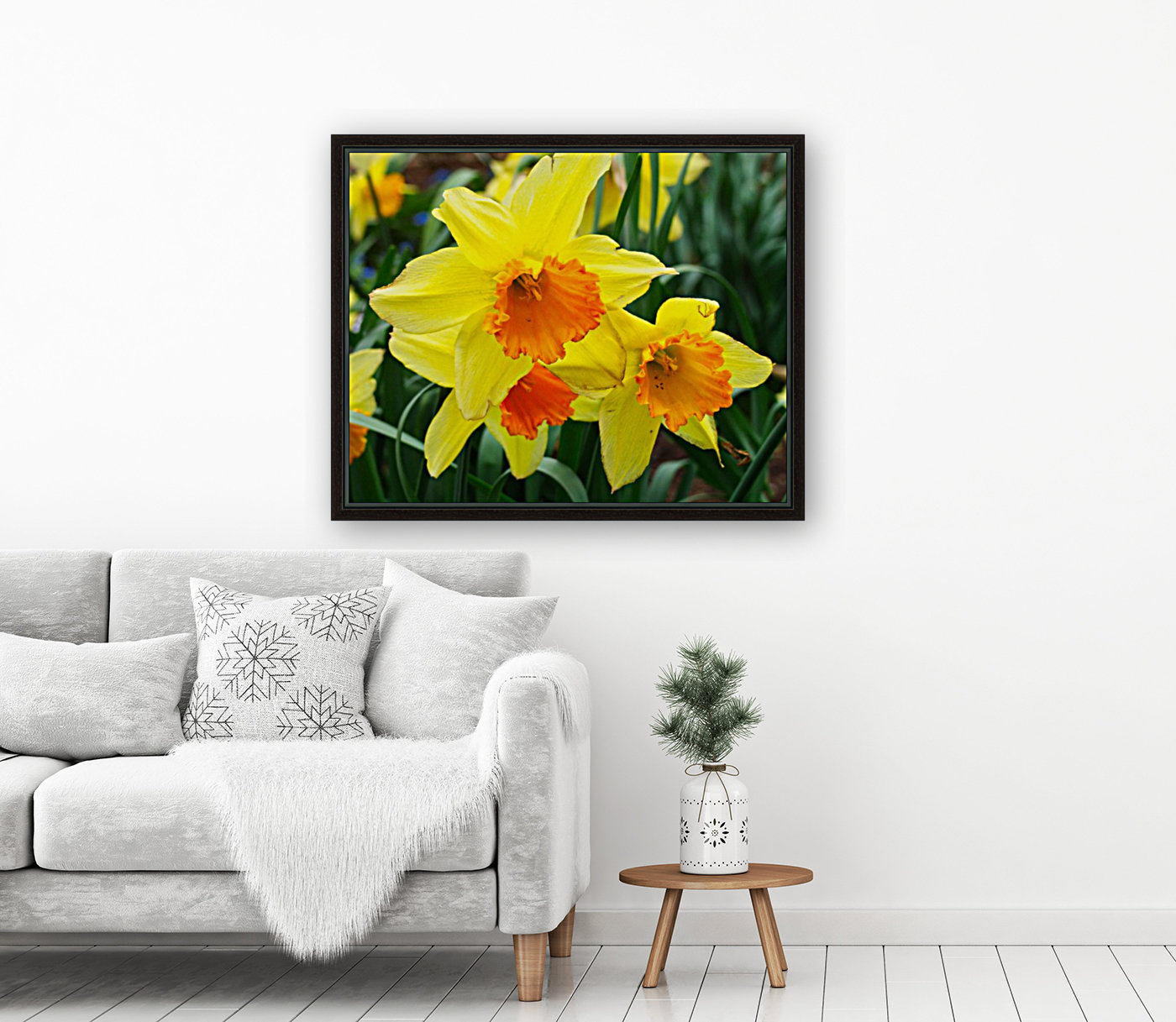 Daffodils Reproduction