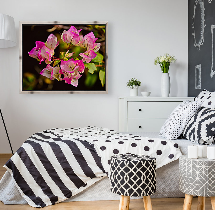 Bougainvillea Reproduction