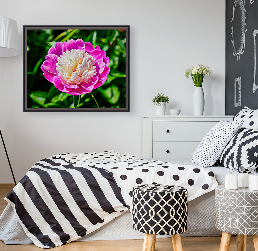 Peony Reproduction