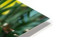 Daffodils HD Metal print