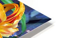 Day Lilies HD Metal print