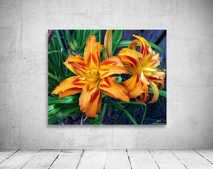 Day Lilies Wall Preview