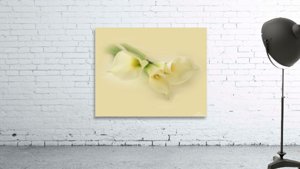 CalaLilly Wall Preview