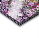 Cherry Tree Acrylic print