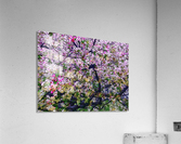 Cherry Tree Acrylic Print