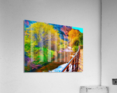Botanical Walk Acrylic Print