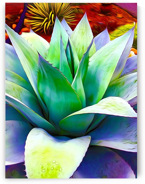 Succulent Dewdrop by Impression Of Things