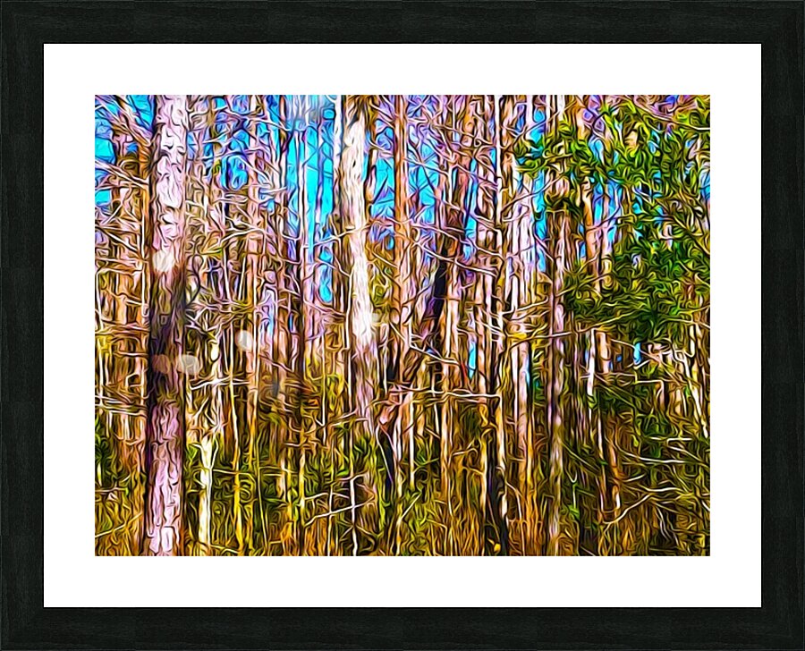 Florida Trees Picture Frame print