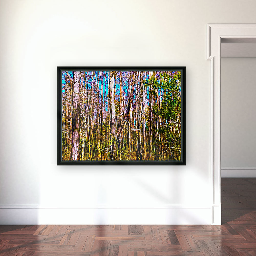 Florida Trees Reproduction