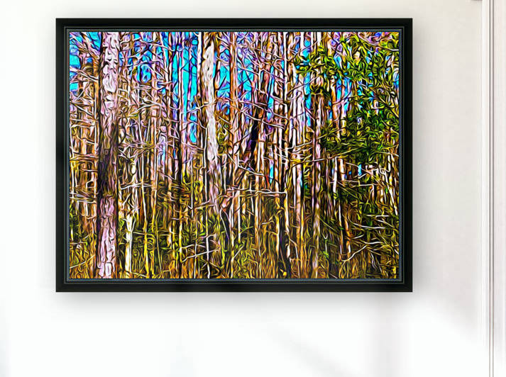 Florida Trees by Impression Of Things