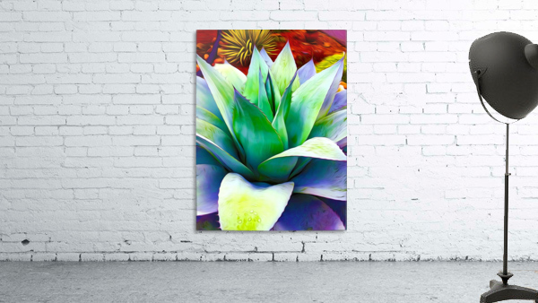 Succulent Dewdrop Wall Preview