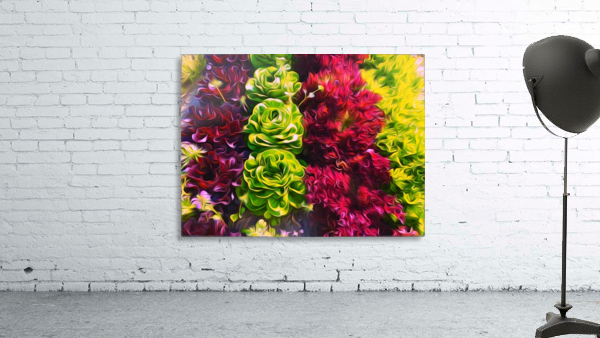 Lettuces Wall Preview