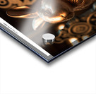 Year of the Rabbit C3 Acrylic print