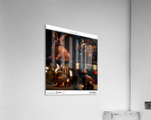 Year of the Rabbit C1 Acrylic Print