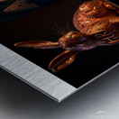 Year of the Rabbit C1 Metal print