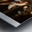 Year of the Rabbit C3 Metal print